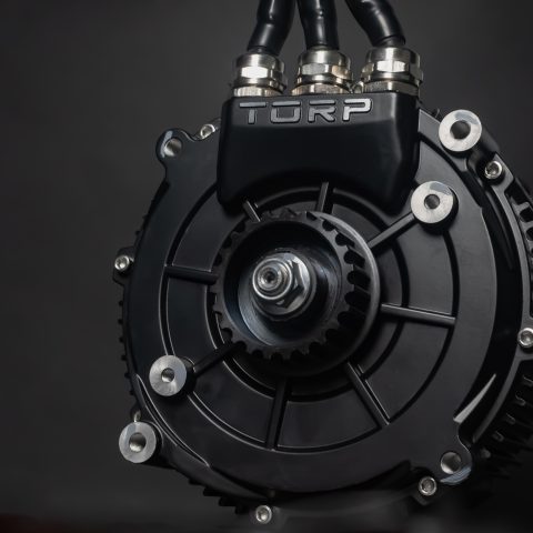 Moteur Torp TM25 mid-drive IPM pour Sur-Ron Light Bee 48–120 V