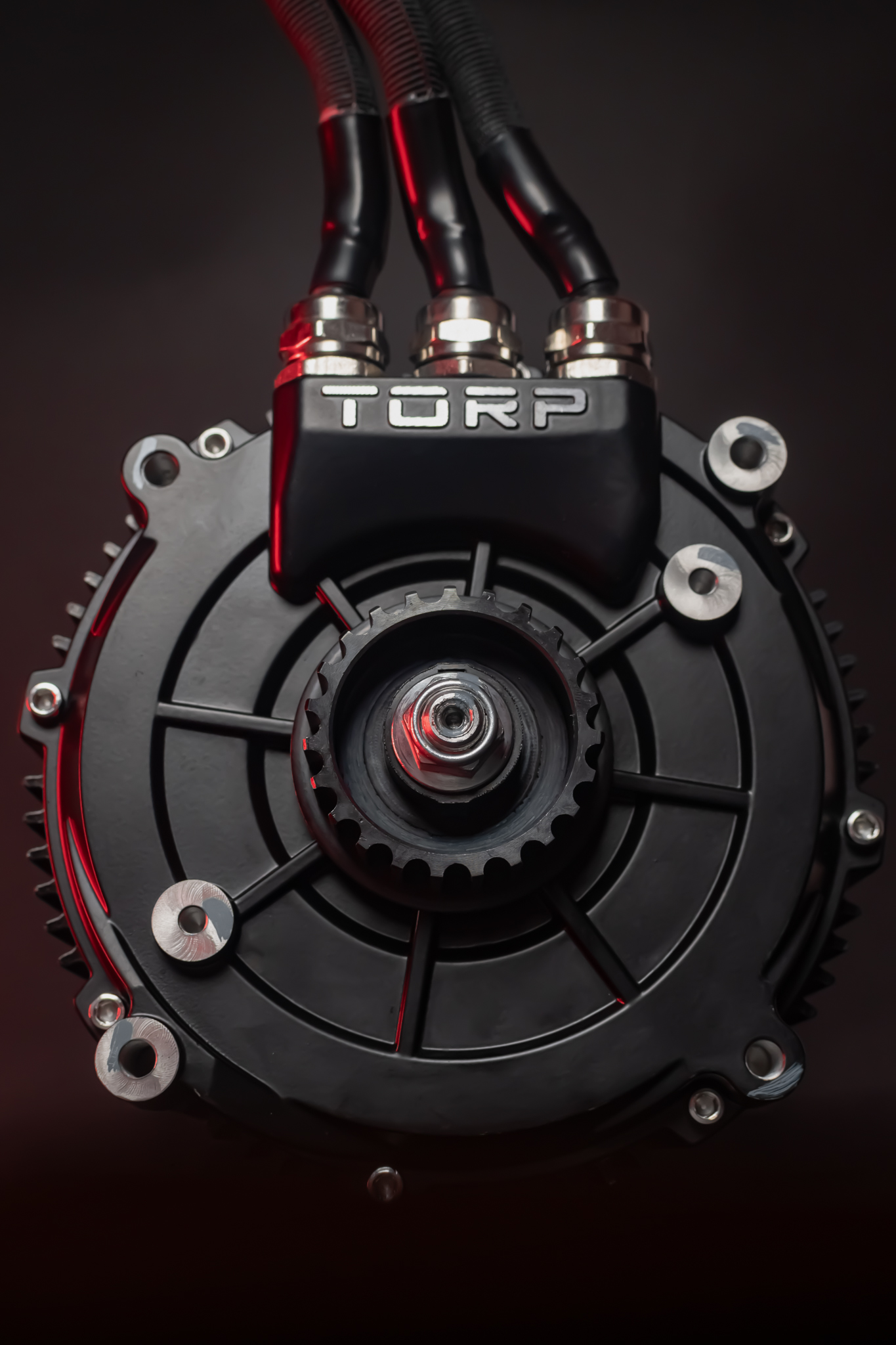 Torp TM25 jungčių ir jutiklių zona, Holo jutiklio arba enkoderio lizdai